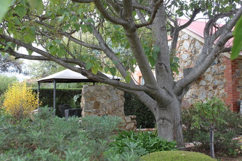Langmeil Cottages - Accommodation Fremantle 3