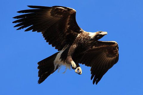 Eagles Range - Accommodation Fremantle 16