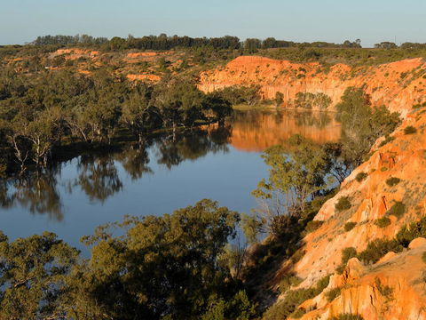Echo Holiday Parks - Renmark - Accommodation Fremantle 11