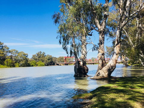 Echo Holiday Parks - Renmark - Accommodation Fremantle 5