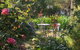 Treasured Memories Cottage - thumb 17