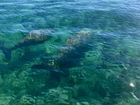 Escape 2 Exmouth - Accommodation Fremantle 28
