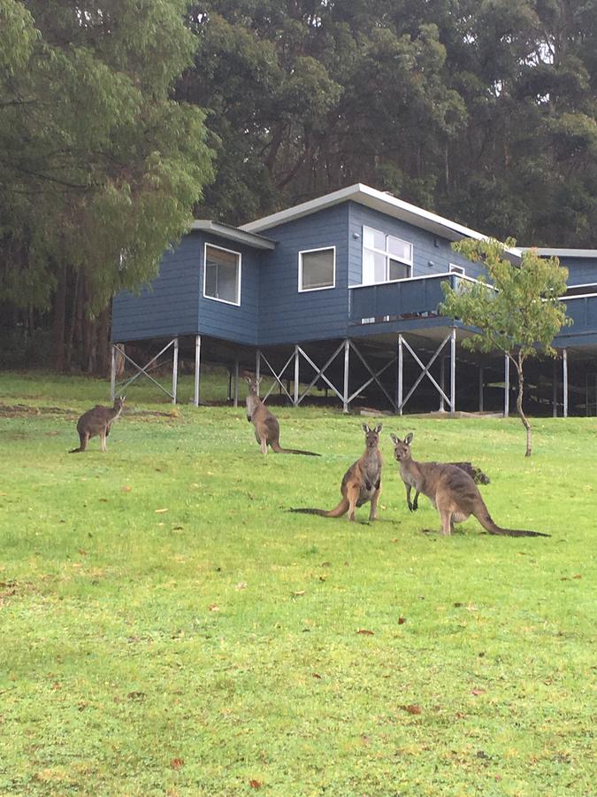 Denmark WA Accommodation Fremantle