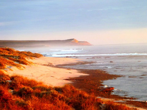Kanga Cottage - Accommodation Fremantle 26