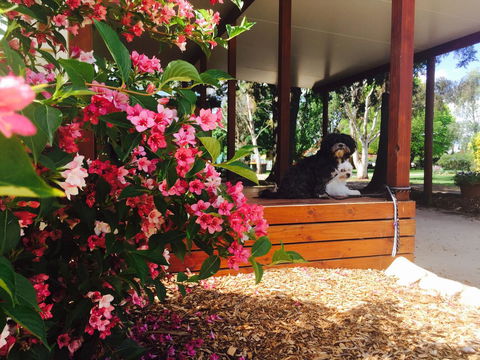 Armidale Tourist Park - Accommodation Fremantle 34