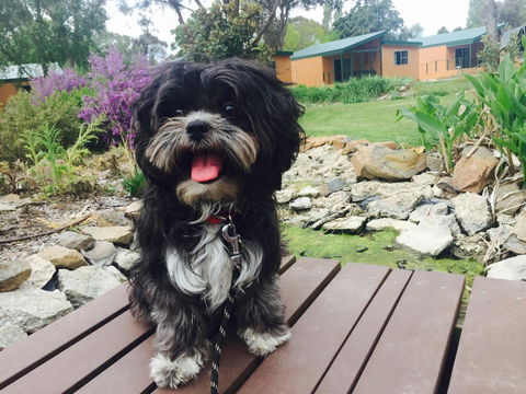 Armidale Tourist Park - Accommodation Fremantle 32