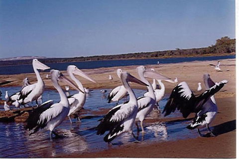 Unit 42 Kalbarri Beach Resort - Accommodation Fremantle 17