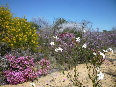 Unit 42 Kalbarri Beach Resort - Accommodation Fremantle 26