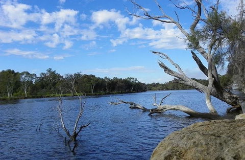 Ascot Comfort - Accommodation Fremantle 23