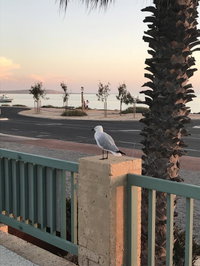 Shark Bay Seafront Apartments