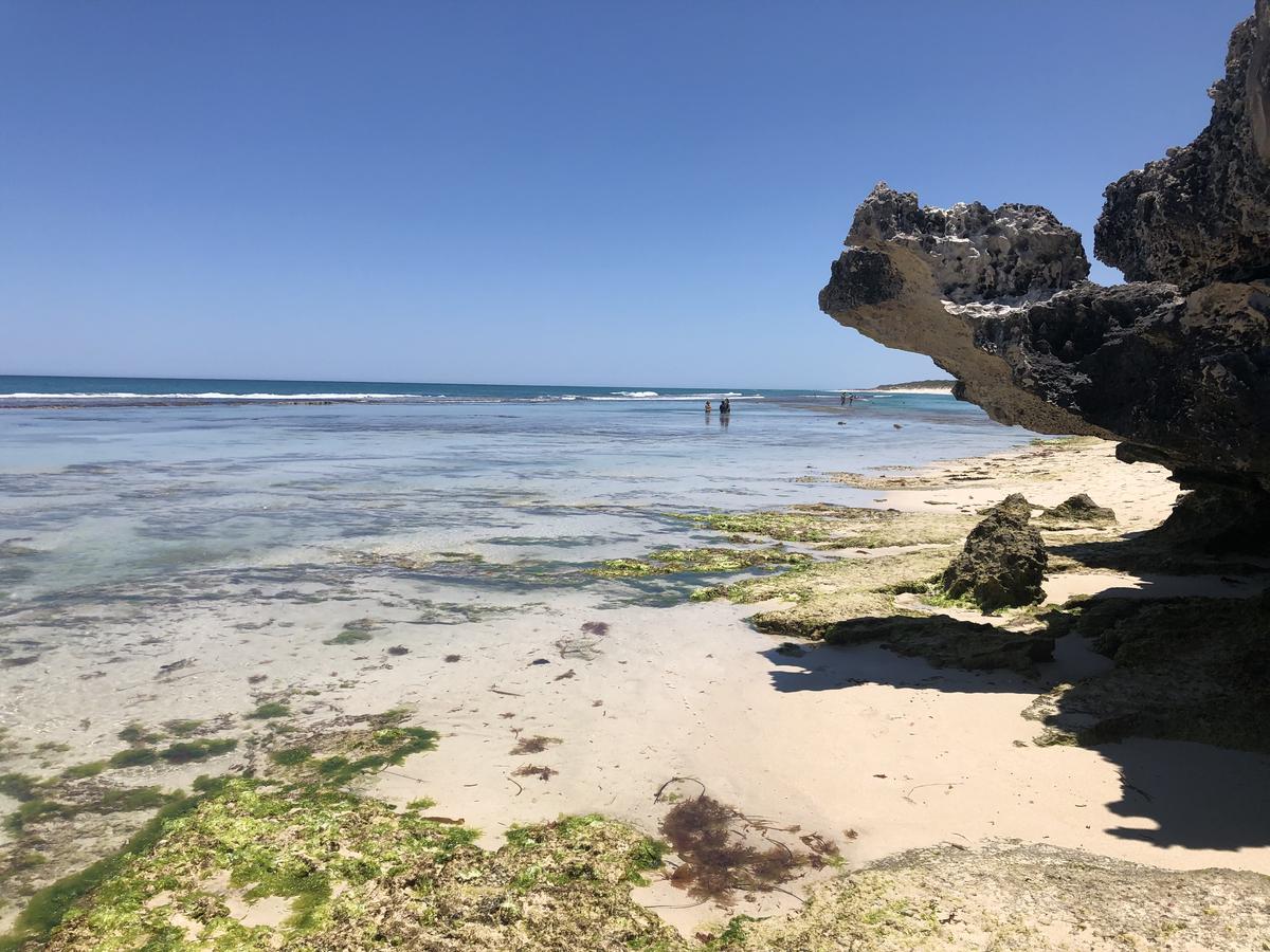 Yanchep WA Accommodation Fremantle