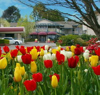 Nesuto Leura Gardens formerly Waldorf Leura Gardens Resort - Accommodation Fremantle