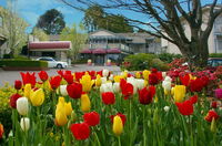 Book Leura Accommodation Vacations Accommodation Fremantle Accommodation Fremantle