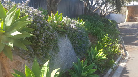 Almond Inn - Accommodation Fremantle 27