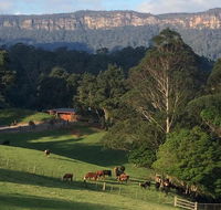 Amaroo Valley Springs - Accommodation Fremantle