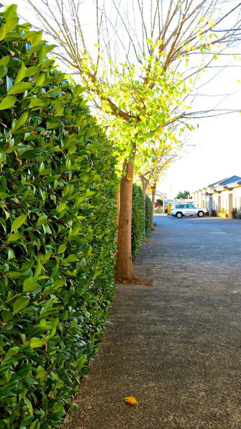 Best Western Plus Goulburn - Accommodation Fremantle 37