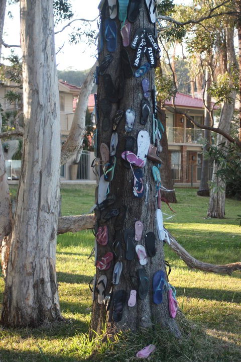 Ambience - Accommodation Fremantle 33