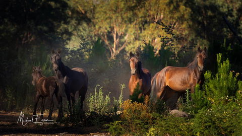 Pound Creek Gallery - Accommodation Fremantle 18