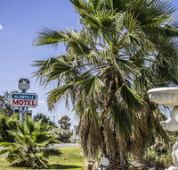 Allonville Gardens Motel - Accommodation Fremantle