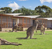 Discovery Parks  Pambula Beach - Accommodation Fremantle