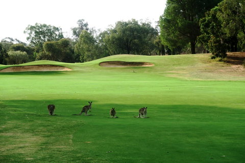 Mulwala Resort - Accommodation Fremantle 40