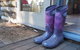 Lark Cottage - thumb 8