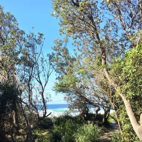 Salthouse Berrara - Accommodation Fremantle 22