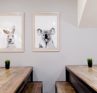 Mad Monkey Backpackers on Broadway - Accommodation Fremantle