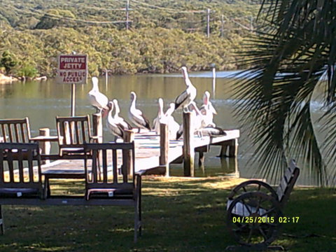 Pelican H2O One & Two Bedroom Apartments - Accommodation Fremantle 9