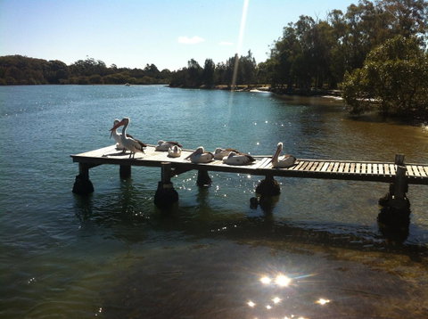 Pelican H2O One & Two Bedroom Apartments - Accommodation Fremantle 5