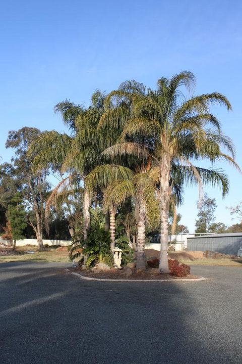 Temora Motel - Accommodation Fremantle 6