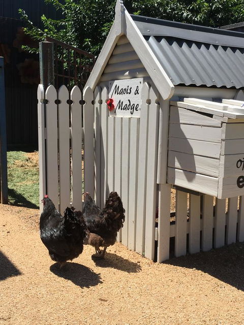 Thelma's Temora - Accommodation Fremantle 12