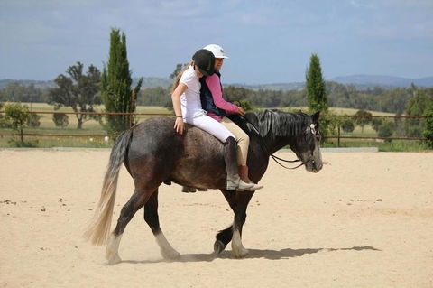Belisi Farmstay Cottage - Accommodation Fremantle 28