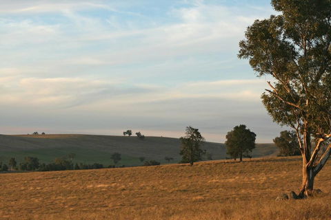 Belisi Farmstay Cottage - Accommodation Fremantle 33