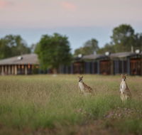Wildman Wilderness Lodge - Accommodation Fremantle