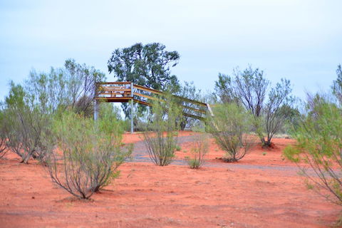 Erldunda Desert Oaks Resort - Accommodation Fremantle 42