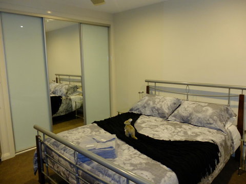 Rock Wallaby - Accommodation Fremantle 14