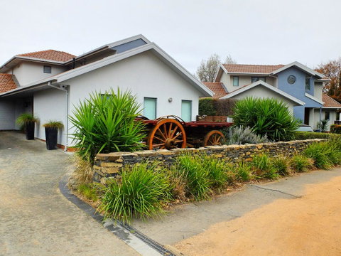Rock Wallaby - Accommodation Fremantle 5