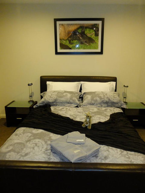 Rock Wallaby - Accommodation Fremantle 18