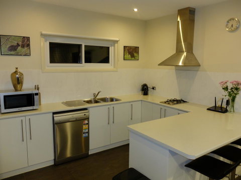 Rock Wallaby - Accommodation Fremantle 12