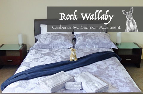 Rock Wallaby - Accommodation Fremantle 4