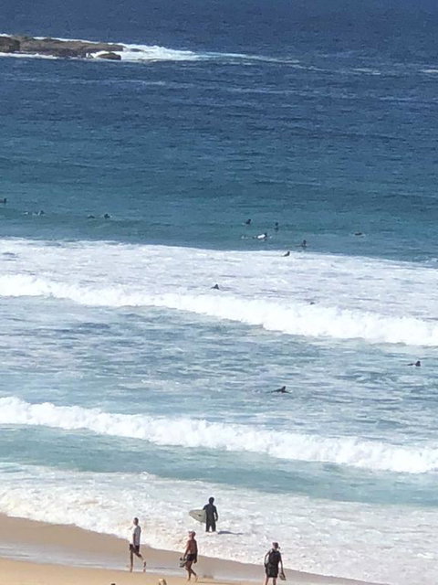 Bondi 38 Serviced Apartments - Accommodation Fremantle 2