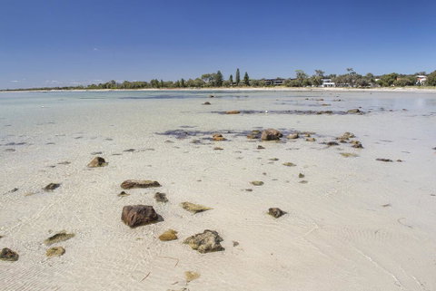 Bottlebrush - Accommodation Fremantle 2