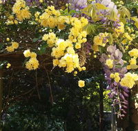 Bowral Road Bed and Breakfast - Accommodation Fremantle