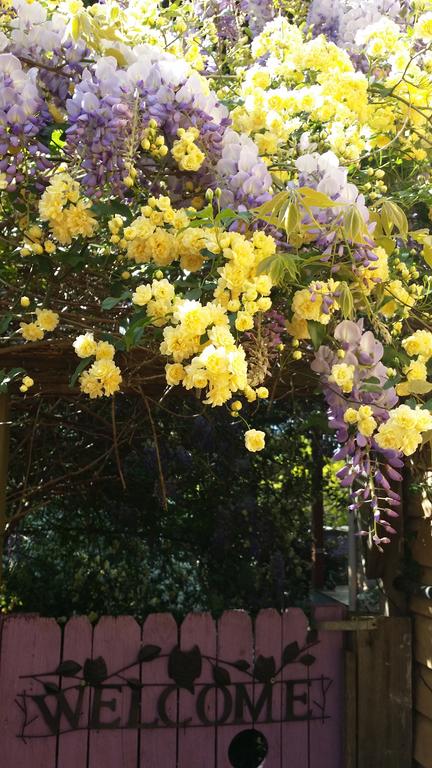 Bowral Road Bed And Breakfast - Accommodation Fremantle 0