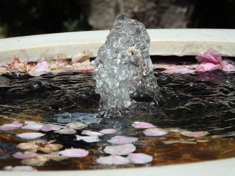 Bowral Road Bed And Breakfast - Accommodation Fremantle 2