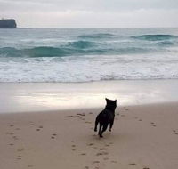 Breakers at Mudjimba Beach - Accommodation Fremantle