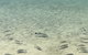 Broadbeach Waterfront Holiday House - thumb 1