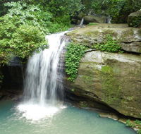 Buderim Forest Hideaway - Accommodation Fremantle