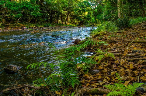 Cairns Homestead: A Peaceful Getaway - Accommodation Fremantle 3